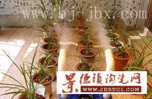 北京金百信厂家直销各类工业加湿器|园林温室花卉超声波加湿器